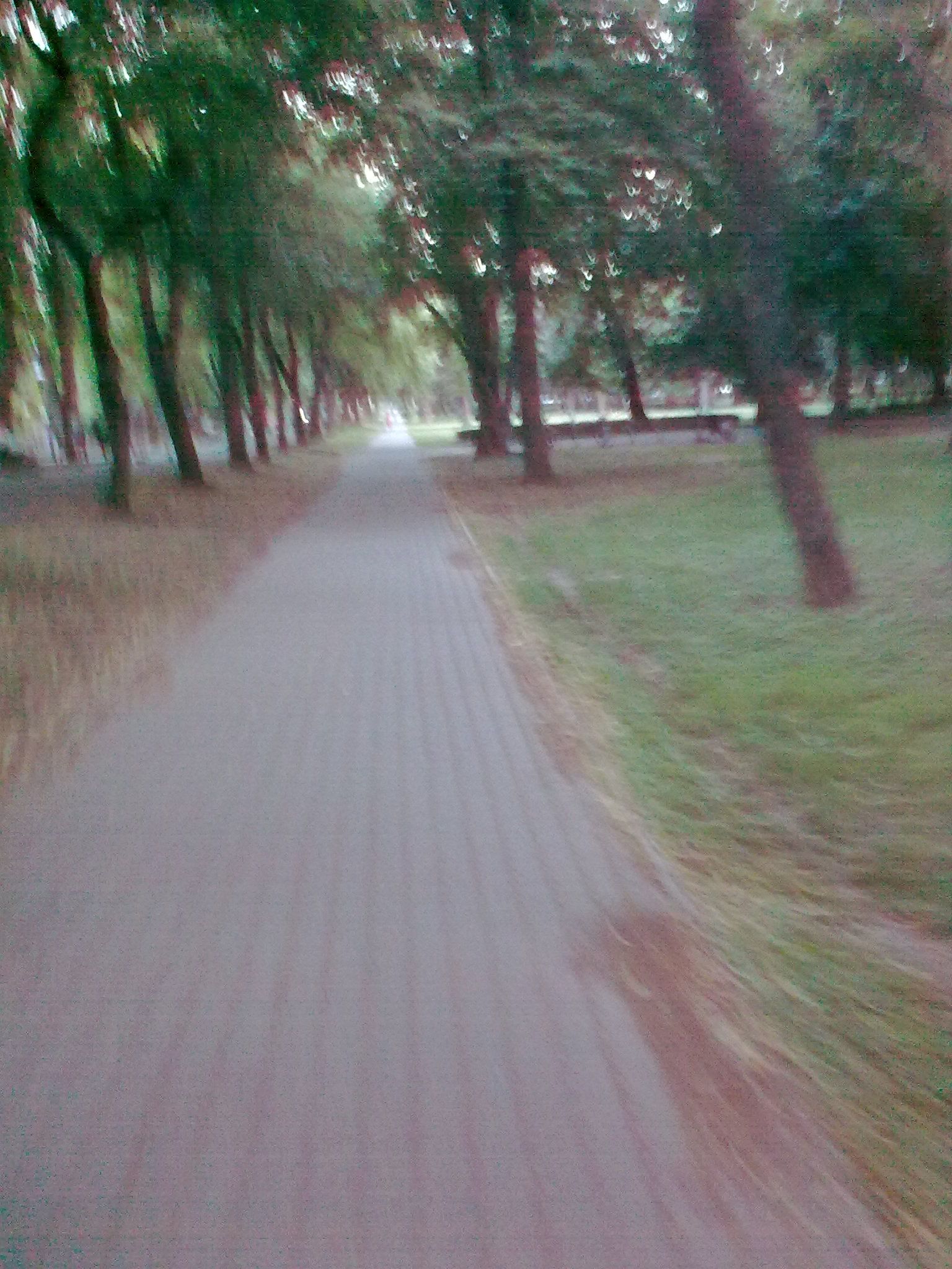 foto0229.jpg