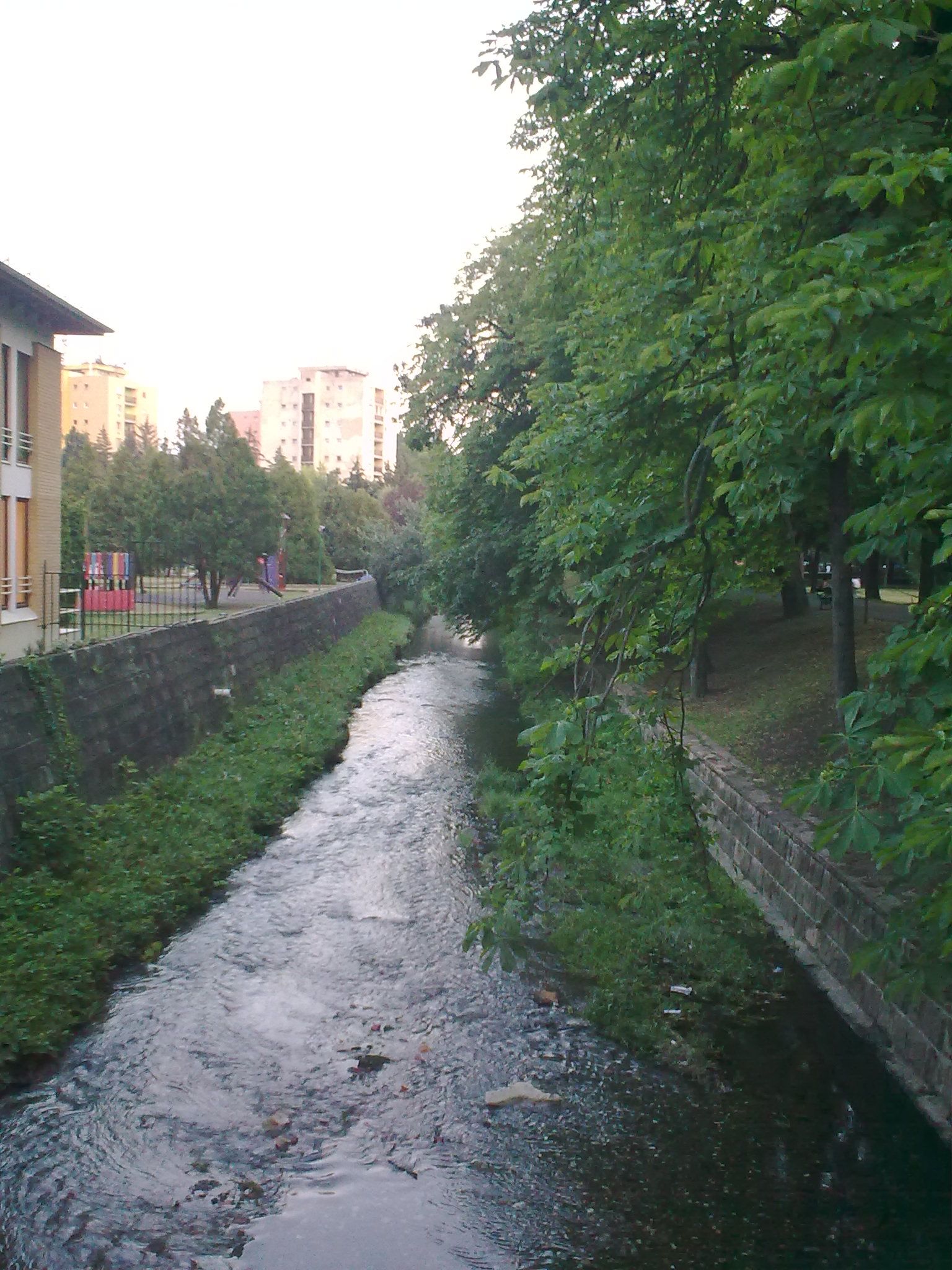 foto0231.jpg