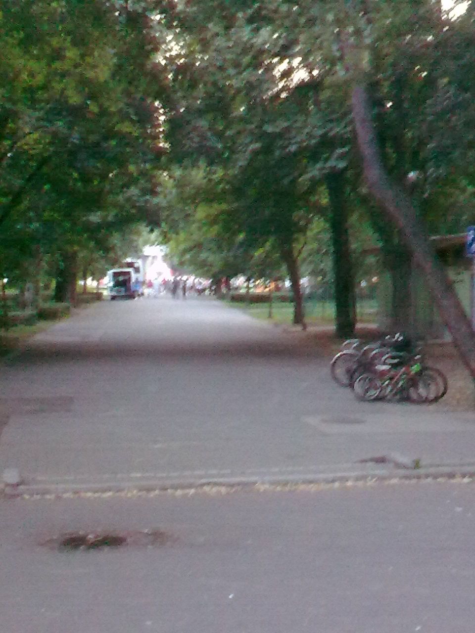foto0232.jpg