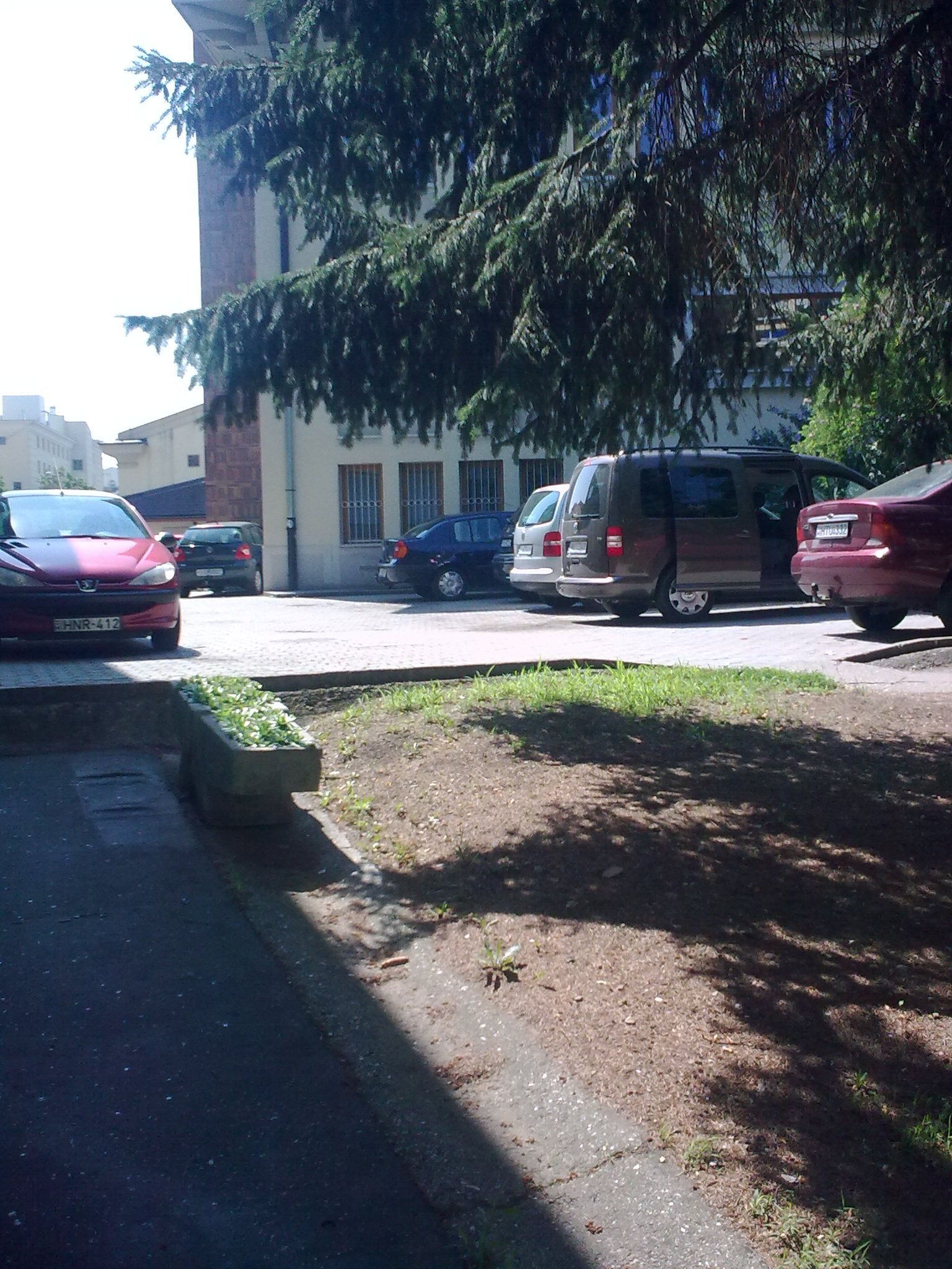 foto0236.jpg